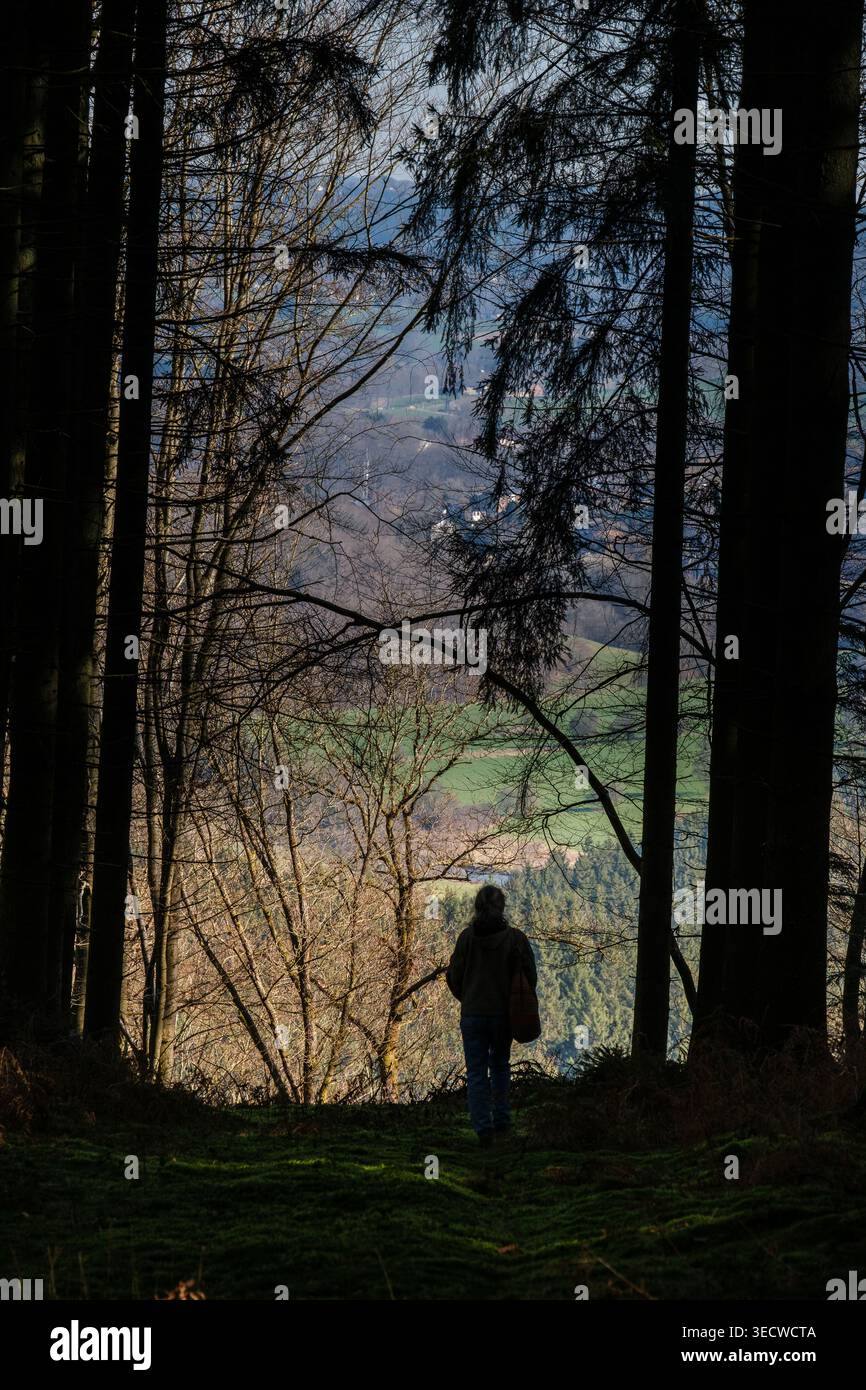 I boschi e la pineta intorno alla frazione di Aisomont offrono una vista sul villaggio di Parfondruy e sul fiume Amblève. | Les bois et les Foto Stock