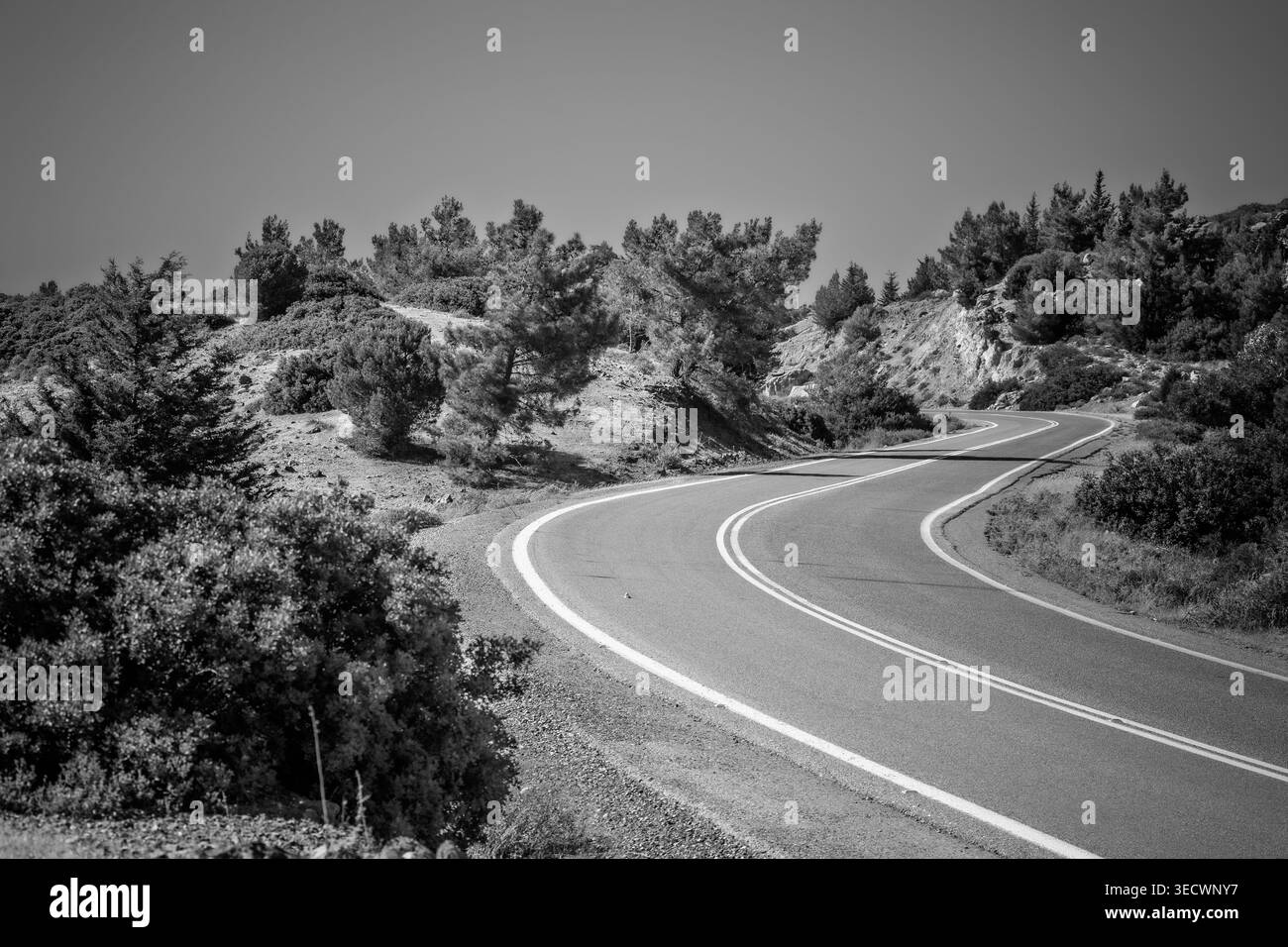 Rodi, Grecia: Autostrada asfaltata a due corsie con distinte linee di divisione bianche che si snodano attraverso un paesaggio collinare arido popolato da pini sparsi A. Foto Stock