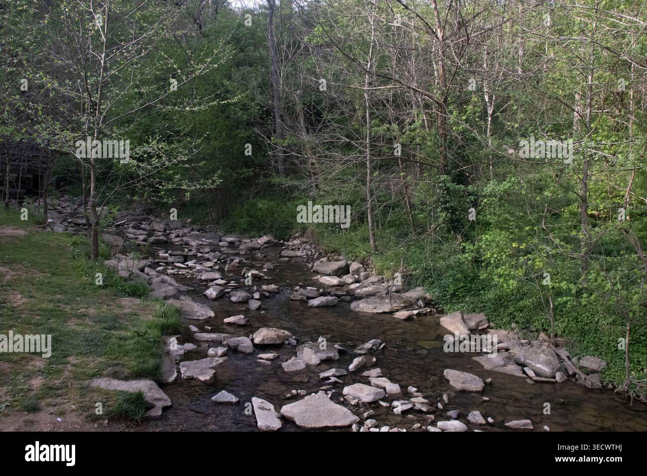 Un torrente al Cove Spring Park di Frankfort, Kentucky, con alberi, rocce e pietre. Foto Stock