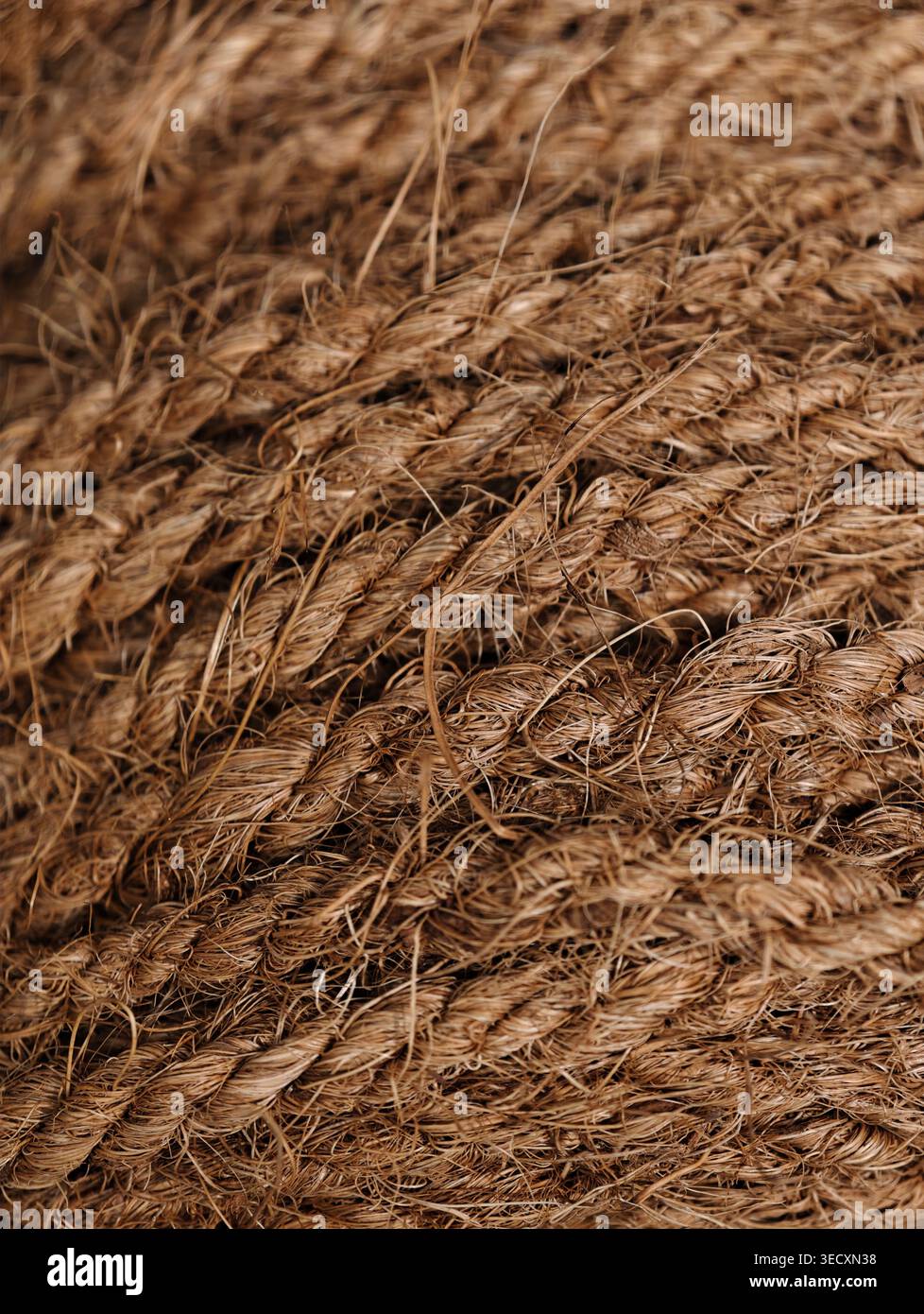 Primo piano con trama intrecciata di corda in iuta, fibre grossolane in tonalità marrone calde, torsioni strette e dettagli tattili ruvidi, ideale per la prospettiva macro Foto Stock