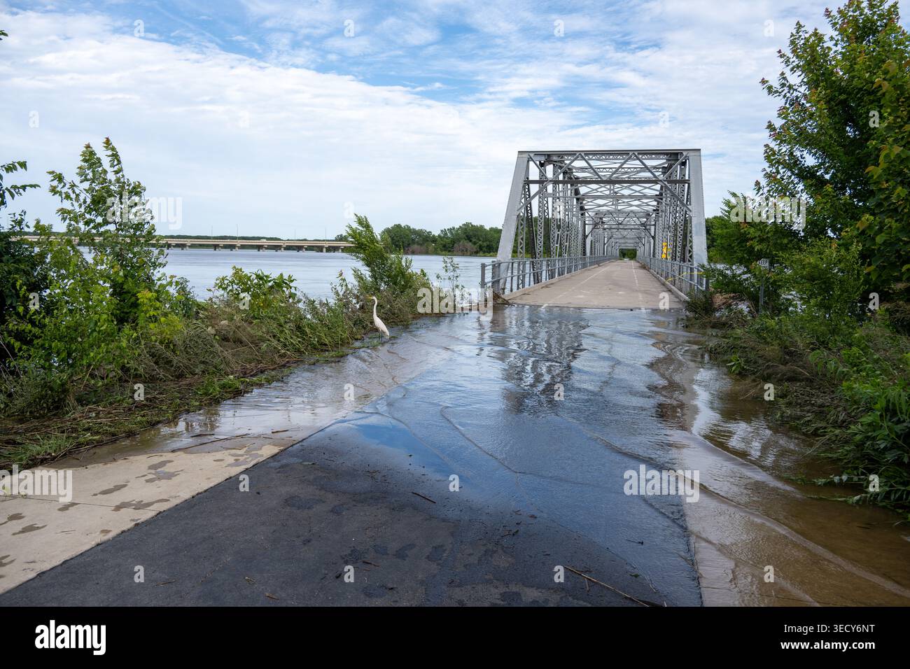 L'acqua del fiume copre il sentiero lastricato che conduce all'Old Cedar Avenue Bridge sul fiume Minnesota, con la vegetazione delle sponde del fiume e un uccello da guado nelle vicinanze Foto Stock