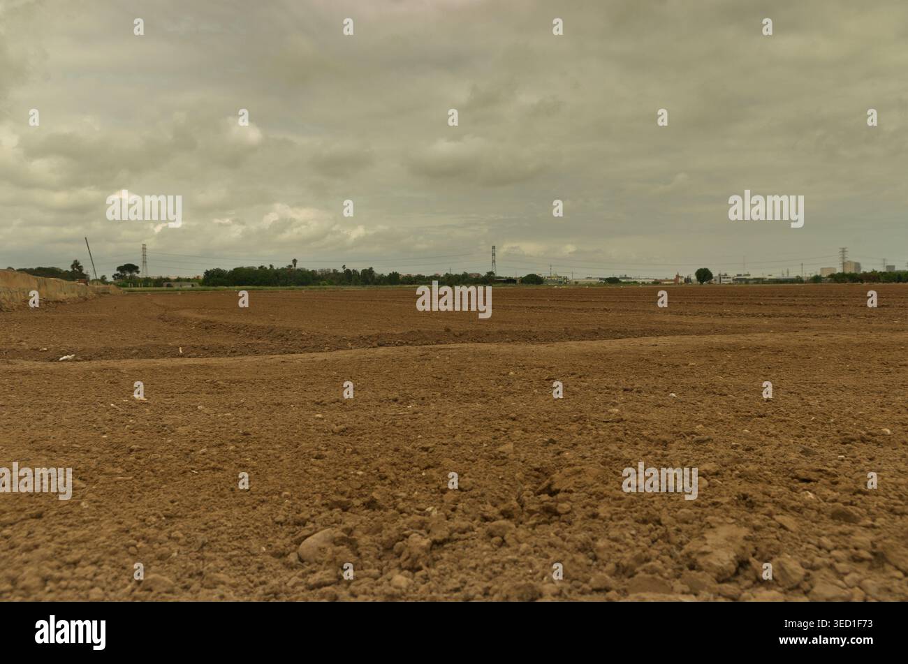 Terreni agricoli preparati per la semina di semi e agricoltura biologica. Foto Stock