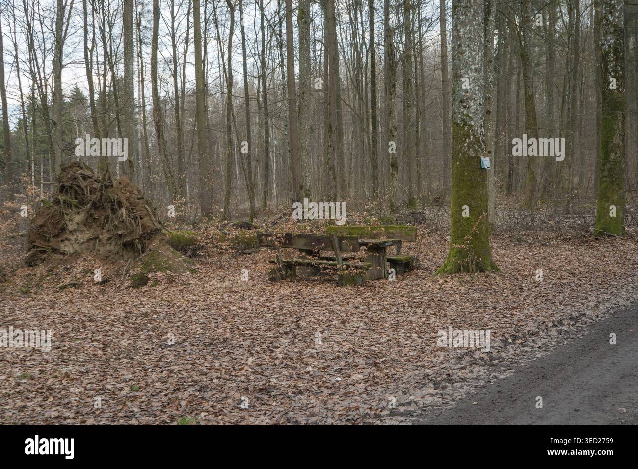 Santuario a lato della strada con statua chiamata Maria von der Lichteiche Foto Stock