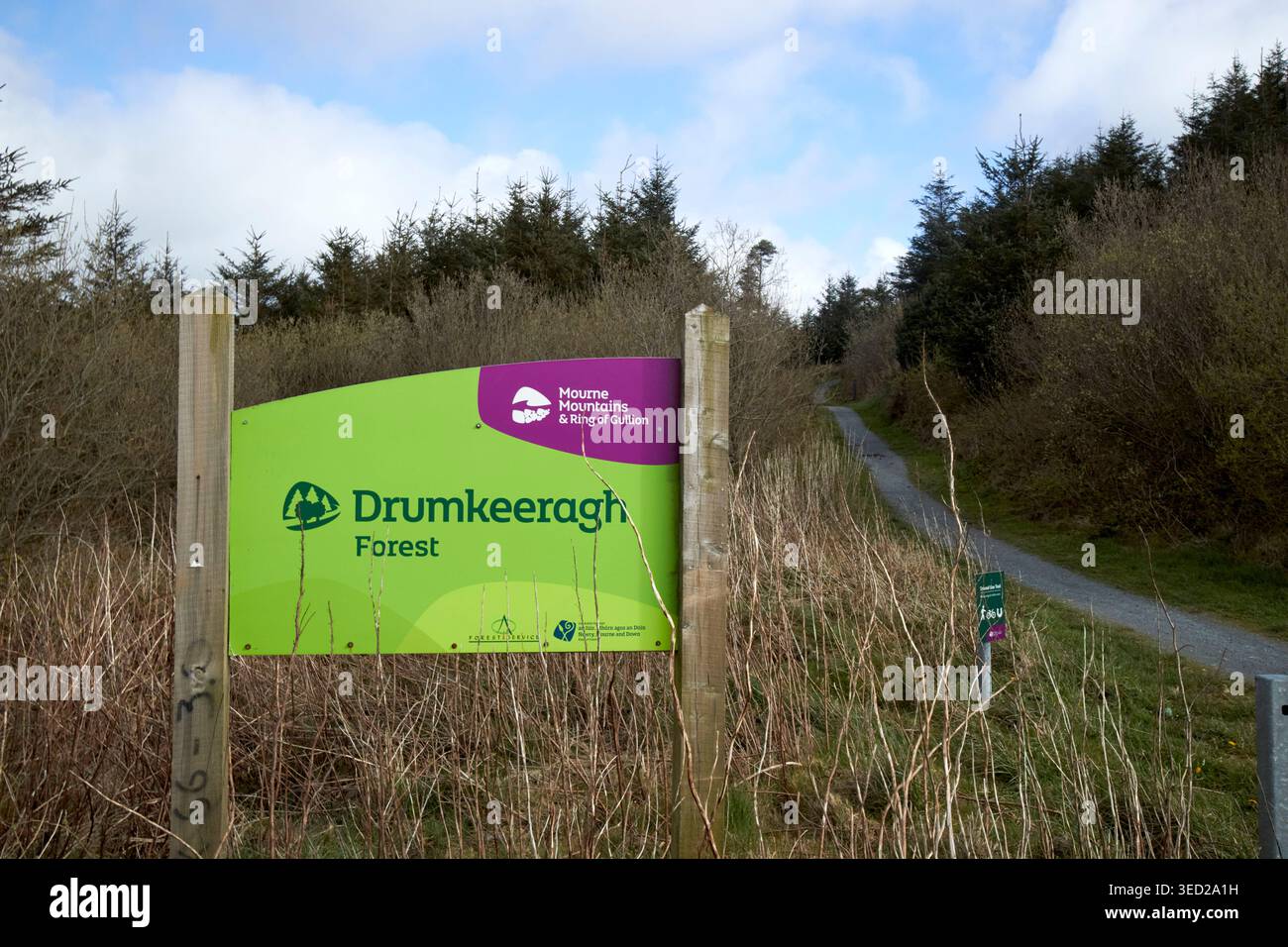 contea forestale di drumkeeragh in irlanda del nord regno unito Foto Stock