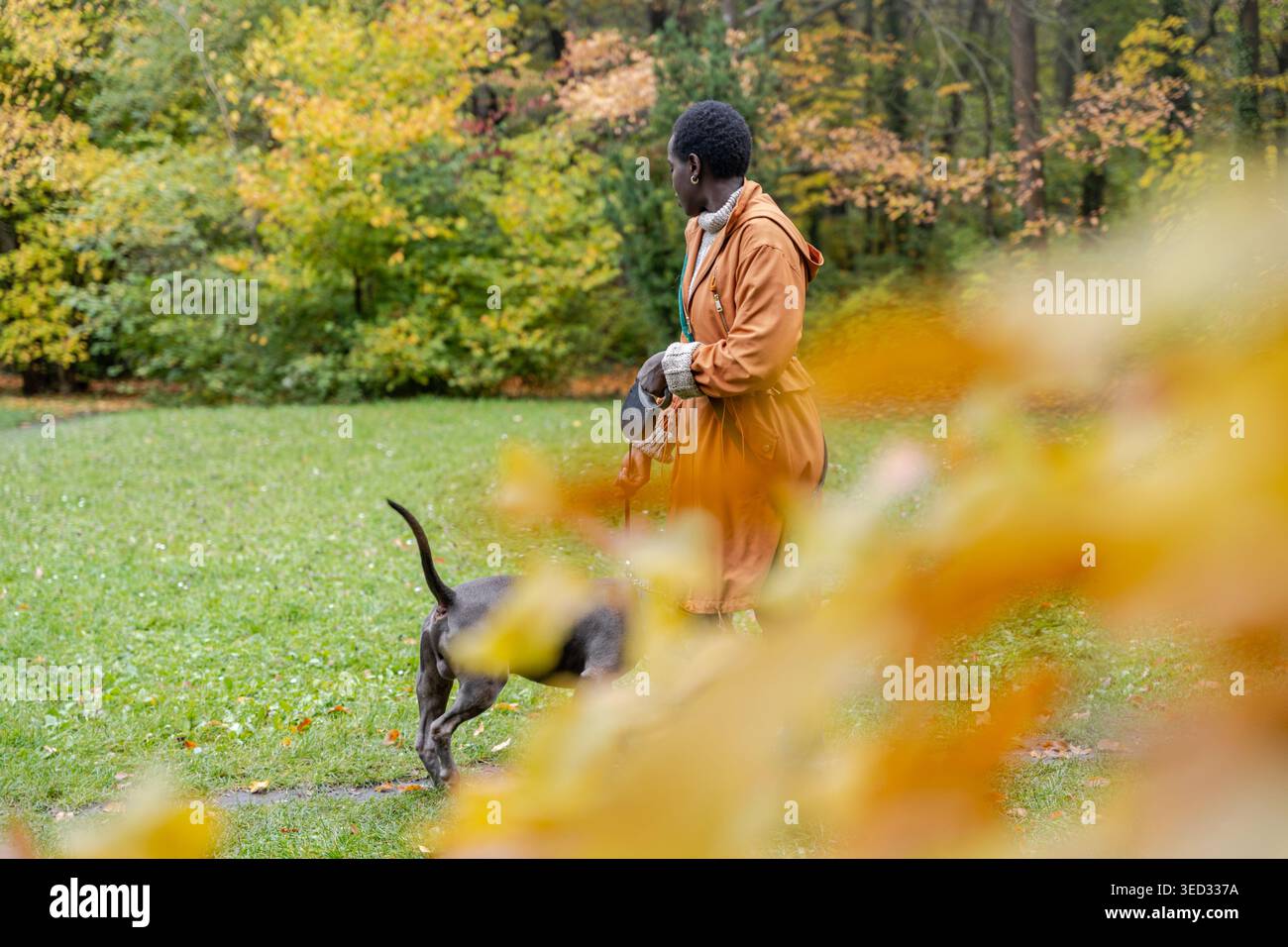 Donna dalla pelle scura con un cappotto arancione che guarda il suo cane muoversi attraverso il parco autunnale Foto Stock