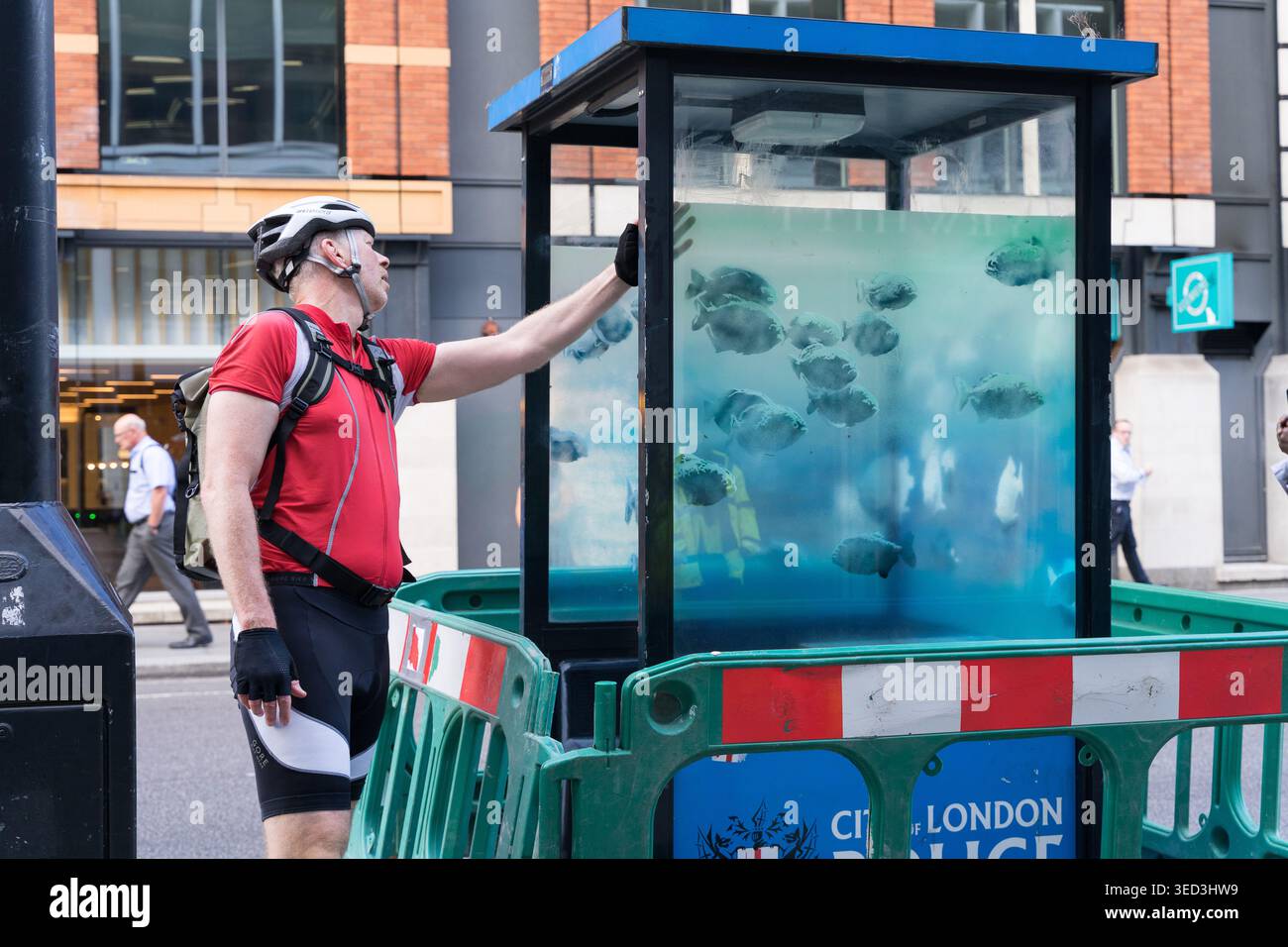 Un membro del pubblico esamina la cornice dell'opera d'arte di Banksy 'Piranhas', Ludgate Hill, Pre-Relocation, prima di trasferirsi a Guildhall Yard, Londra Foto Stock