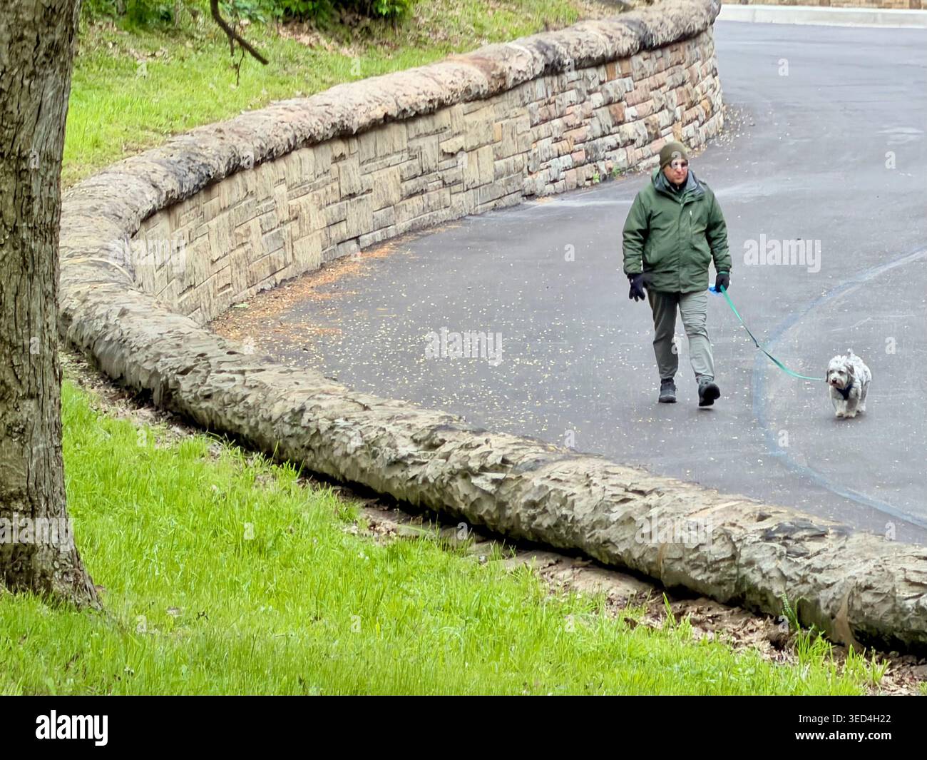 Uomo che cammina con un cane a Schenley Park a Pittsburgh, la strada asfaltata è chiusa al traffico. - Immagine stock catturata con smartphone