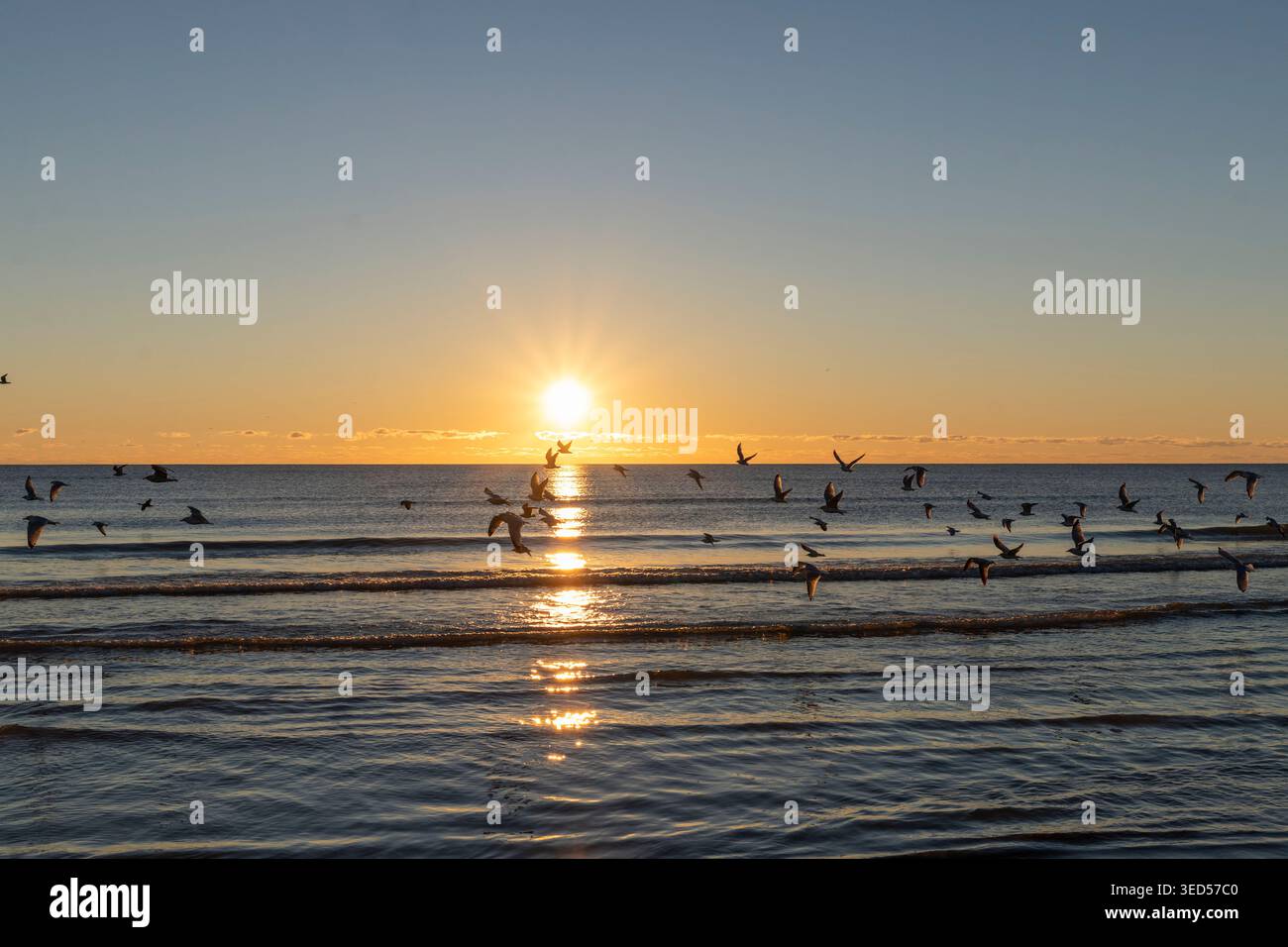 Guardando il sole che tramonta sul lago Michigan. Foto Stock