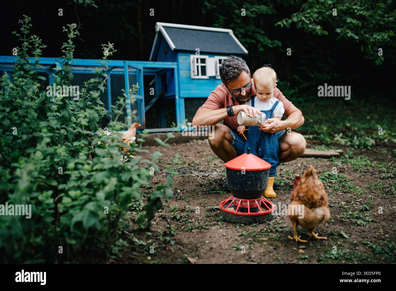 Padre e bambino che danno da mangiare ai polli nel giardino del cortile. Foto Stock