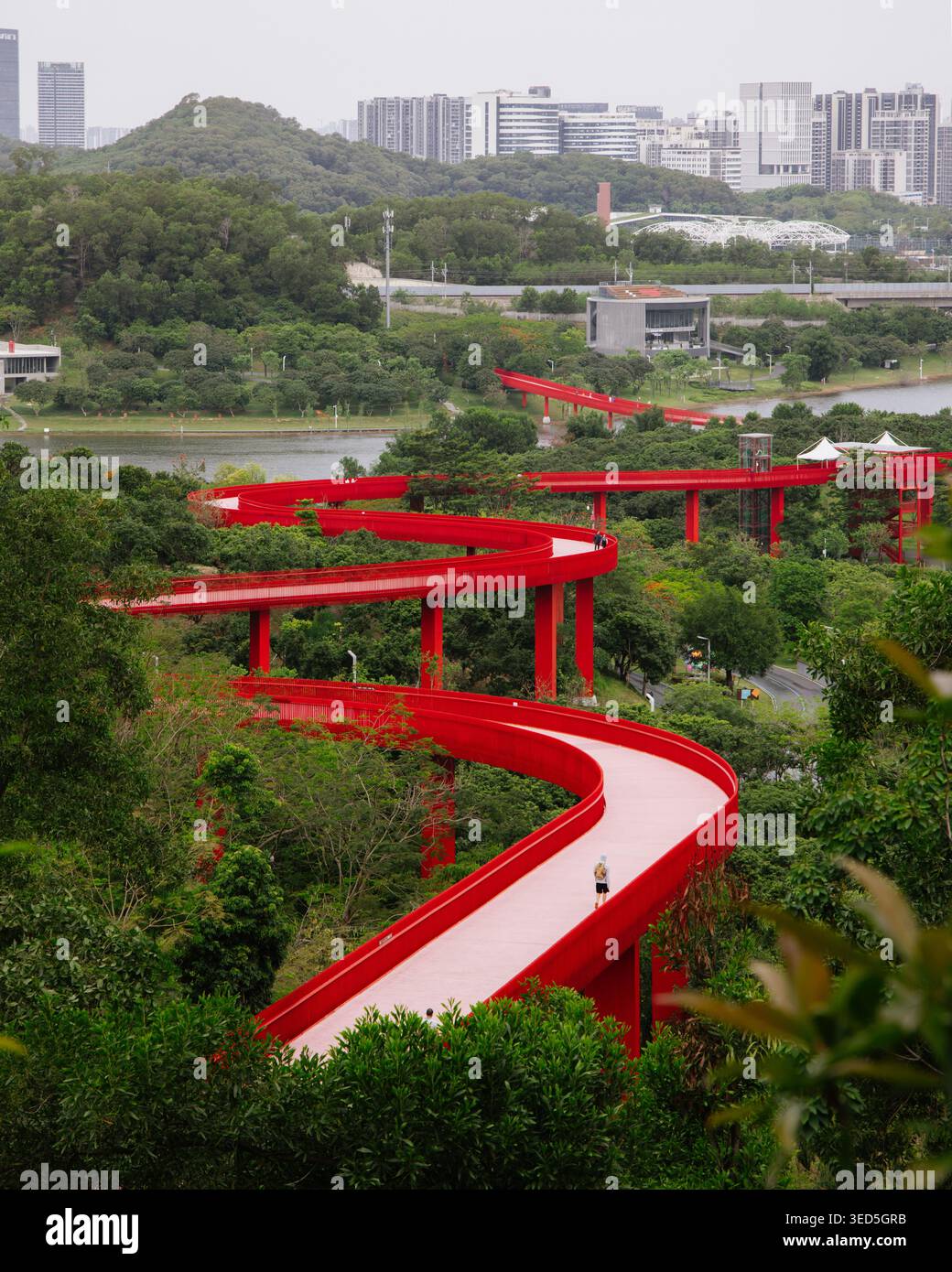 Hongqiao Park, Shenzhen. Un parco forestale evidenziato da un ponte rosso con un innovativo design architettonico sostenibile Foto Stock