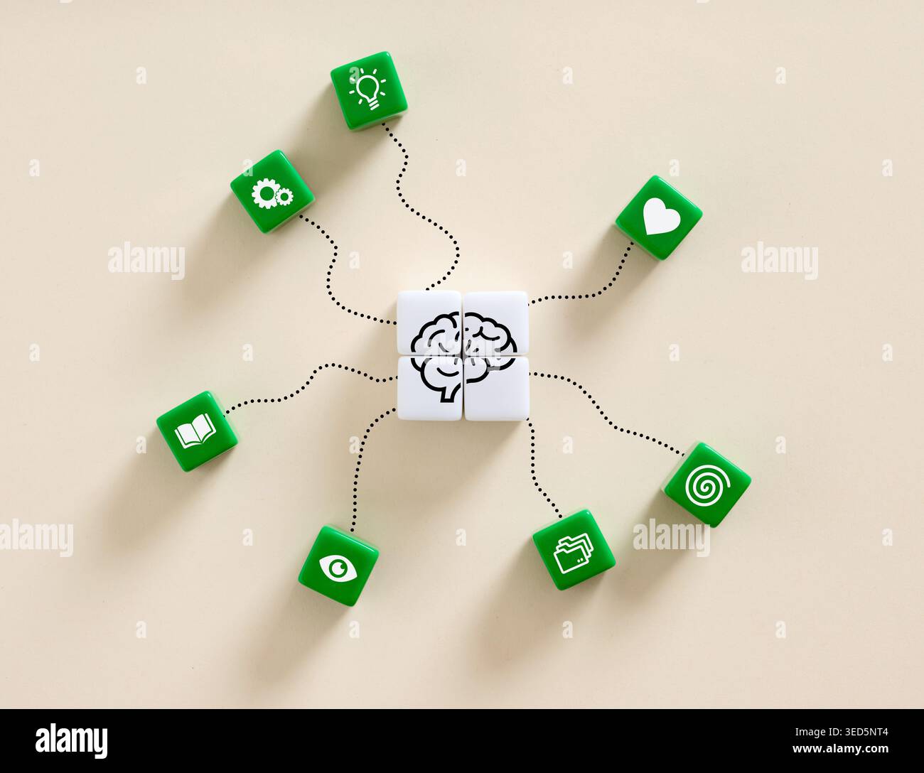 Cubi bianchi che mostrano un cervello collegato a cubi verdi che rappresentano abilità ed emozioni diverse, come amore, visione, conoscenza e idee. Funzioni Foto Stock
