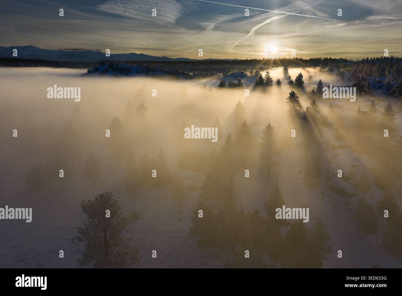 Sunrise Cutting through the Fog in California Mountains Foto Stock