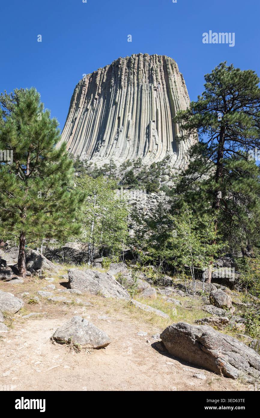 Devils Tower National Monument Rock Formation incorniciata da Pine tre Foto Stock