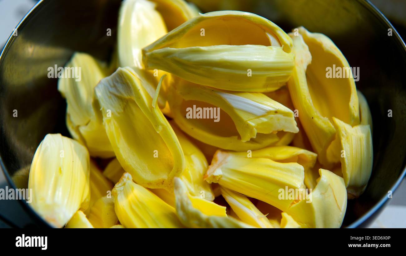 Ciotola riempita con cialde di jackfruit giallo fresco pronte da mangiare. Delizioso concetto di frutta tropicale adatto per alimenti sani, prodotti biologici. Foto Stock