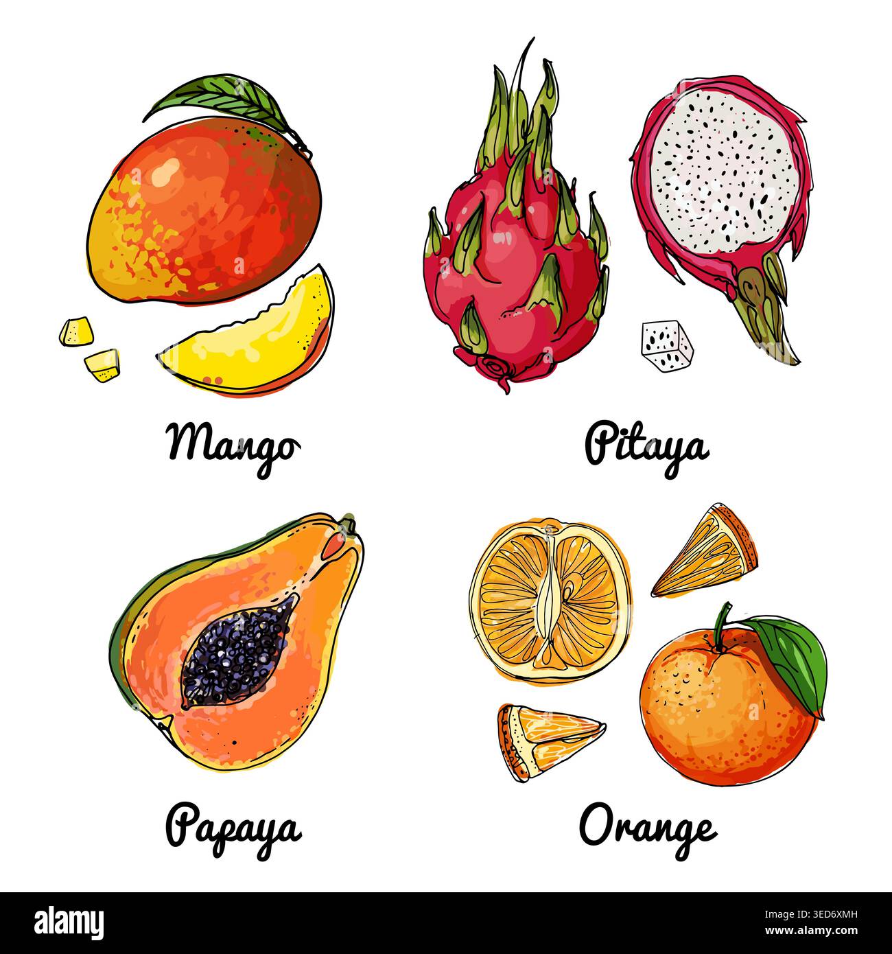 Icone vettoriali del cibo della frutta. Schizzo colorato di prodotti alimentari. Mango, pitaya, papaya, arancia Illustrazione Vettoriale