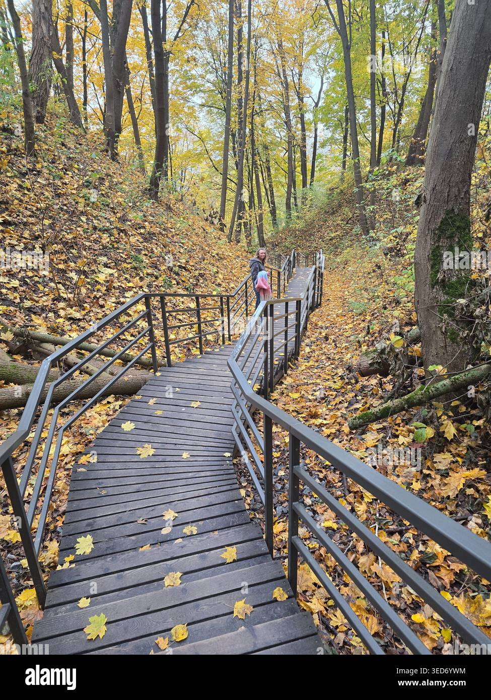 Una scalinata in legno si snoda attraverso una foresta autunnale con foglie dorate a Vilnius, Lituania - Immagine stock catturata con smartphone