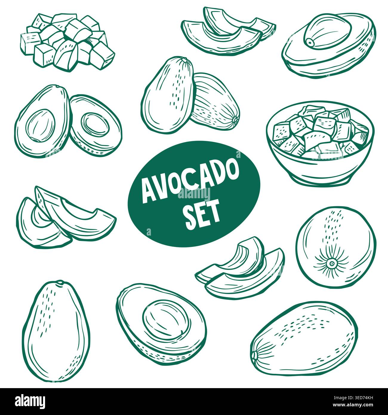 Set di avocado con frutta intera e fette in stile art con linea verde Illustrazione Vettoriale