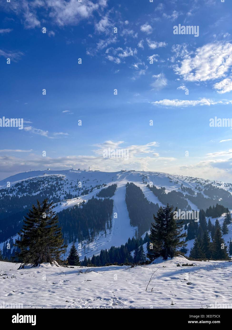 Soleggiata vista invernale della stazione sciistica di Kopaonik con piste innevate, pineta e cielo blu, perfetto scenario alpino. - Immagine stock catturata con smartphone