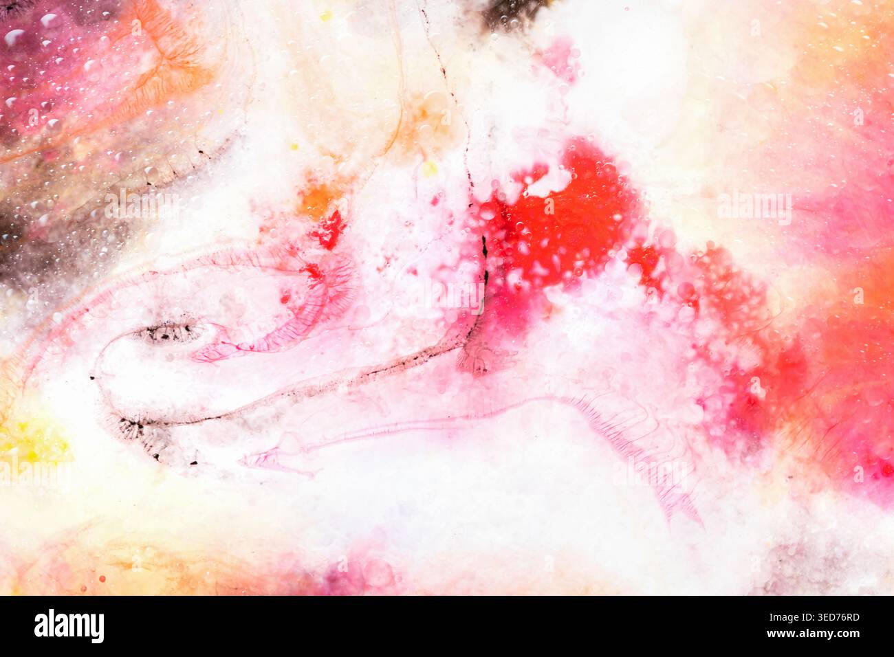 Arte astratta con acquerelli rosa, rosso e giallo spruzza macro Foto Stock