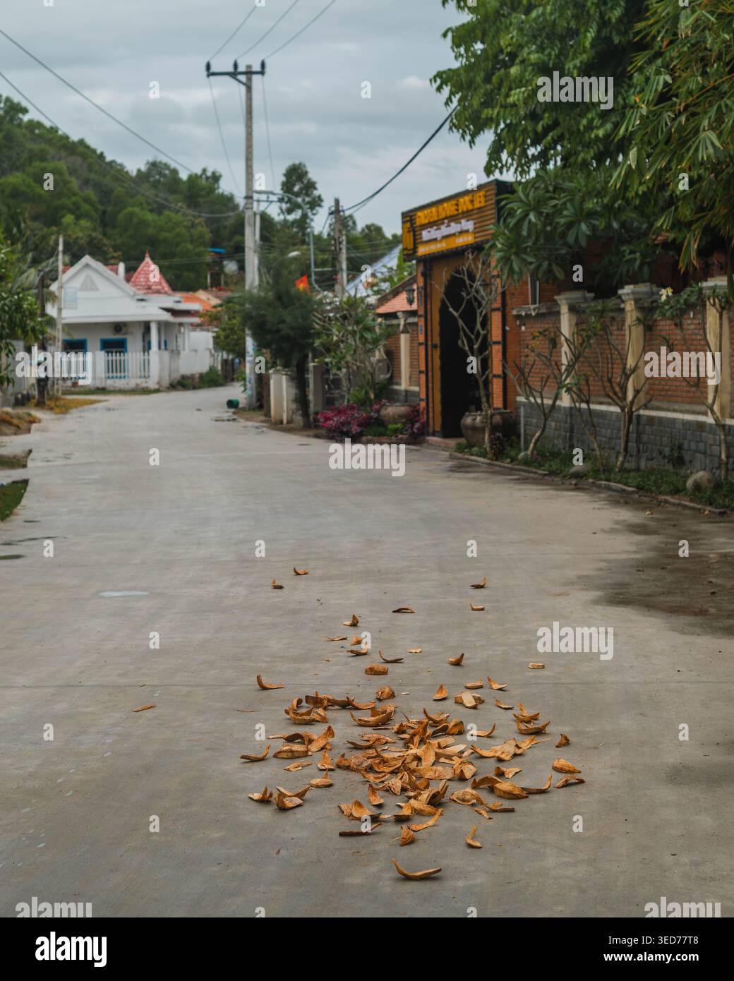 Dry Coconut Husks su Village Road Foto Stock