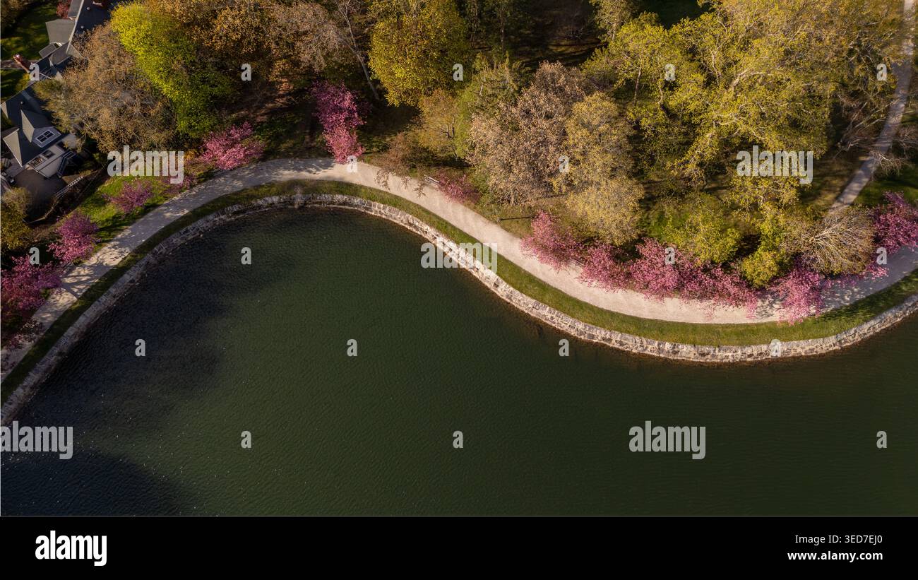 Vista aerea del Brookline Reservoir, caratterizzato da un litorale in pietra ricurvo, un sentiero per passeggiate fiancheggiato da alberi rosa in fiore e un lussureggiante fogliame primaverile di Brooklin Foto Stock