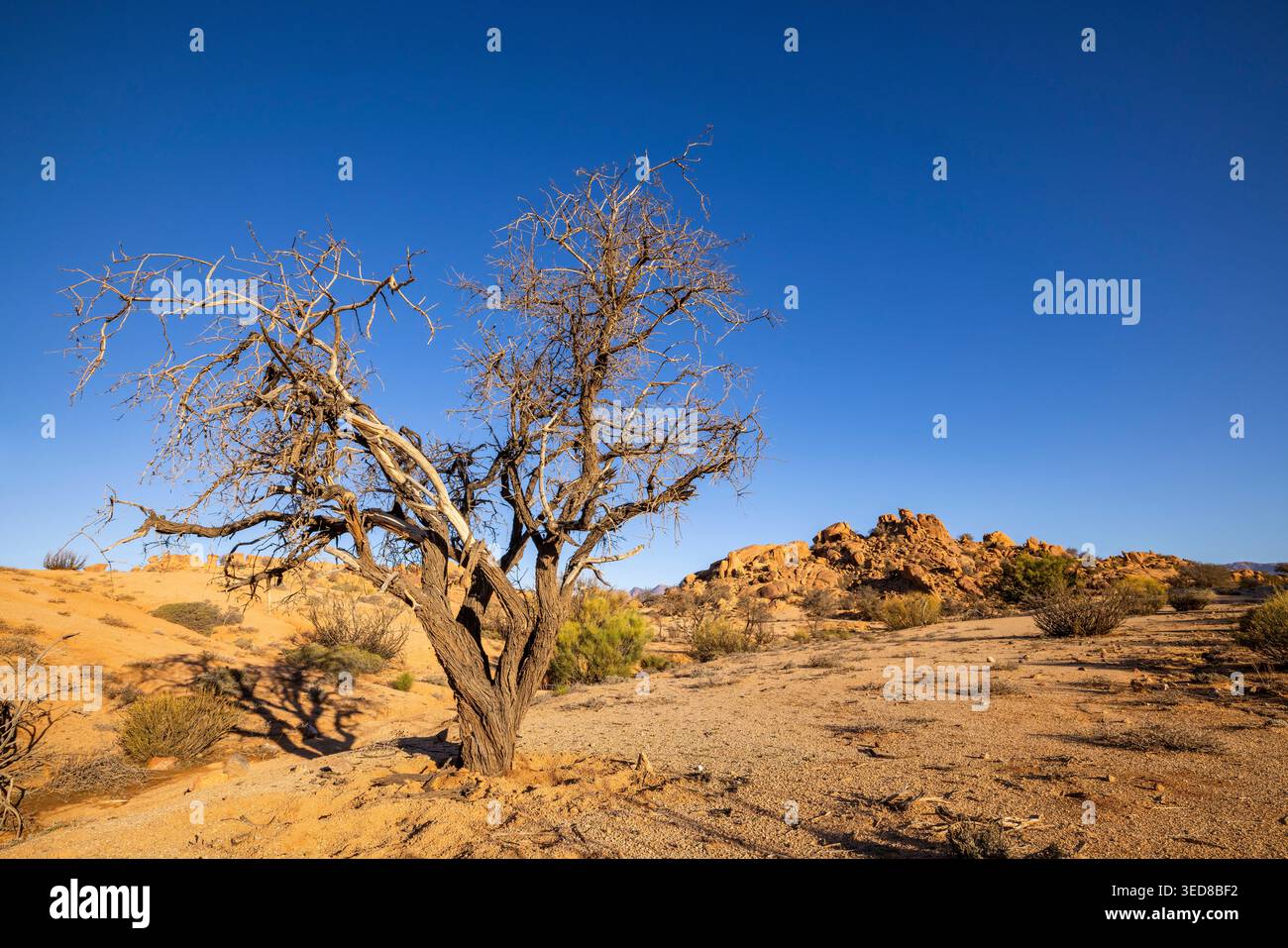 Marocco, regione di Souss-massa, Tafraoute, spettacolare paesaggio di formazioni rocciose caratteristiche della valle di Tafraoute Foto Stock