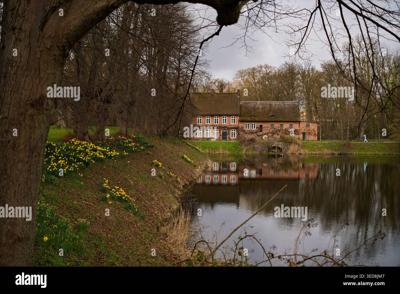 AHRENSBURG, GERMANIA - 31 MARZO 2026: Lo storico mulino del castello si riflette nell'acqua dello stagno accanto ai narcisi gialli del castello di Ahrensburg Foto Stock