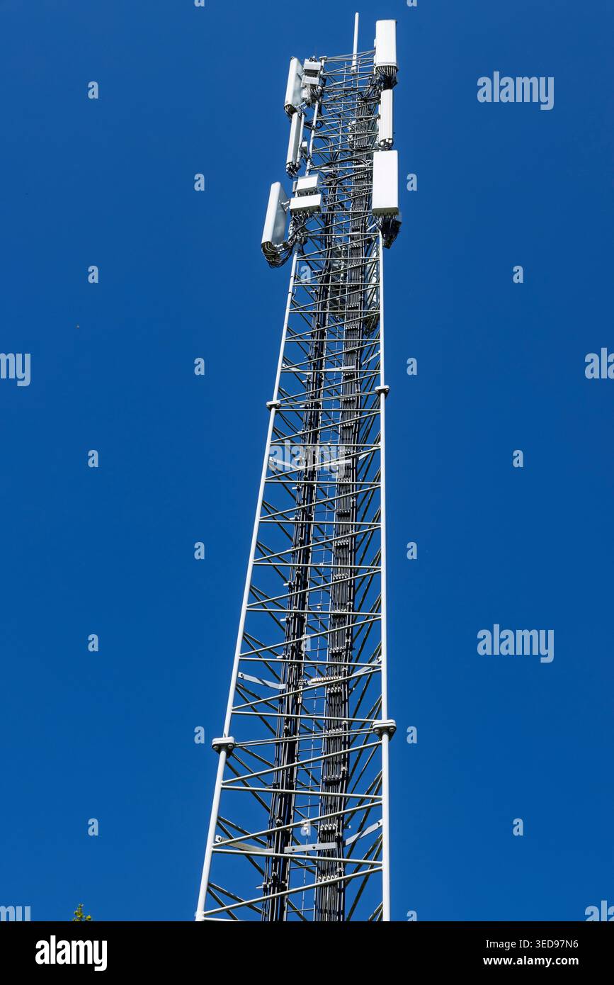 Paesi Bassi. Moderno albero di telecomunicazione dotato di varie antenne e collegamenti a microonde per reti mobili 4G, 5G e 6G future in un chiaro s Foto Stock