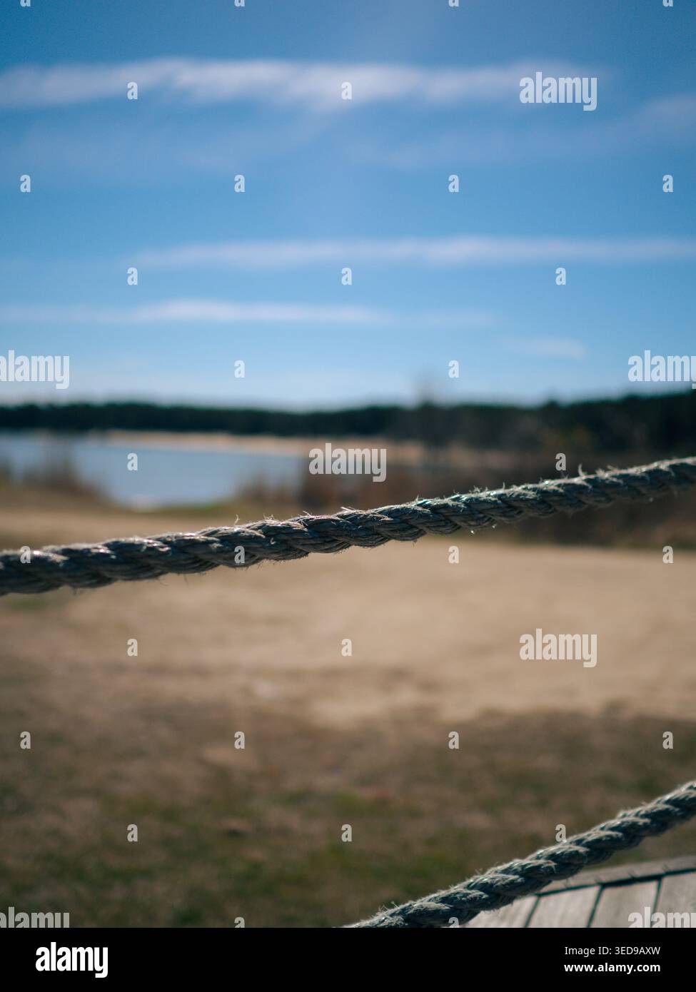 Primo piano di recinzione in corda intemprata con spiaggia, mare e foresta di Lohusalu sfocate sullo sfondo, Estonia, inizio primavera Foto Stock