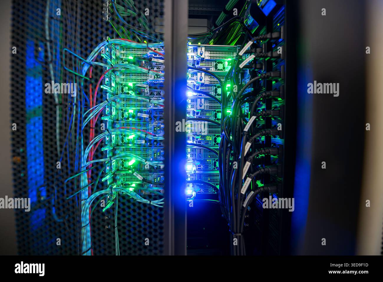 Una vista dettagliata di una sala server con cavi organizzati e rack server illuminati, evidenziando tecnologia e connettività nelle moderne infrastrutture Foto Stock