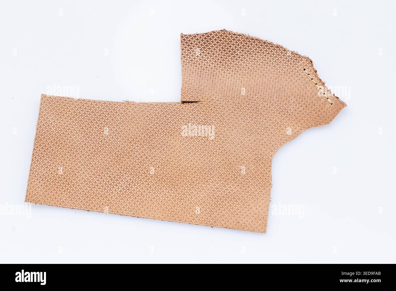 Foglio in pelle traforata beige con motivo a punti su sfondo bianco, primo piano in materiale artigianale traspirante Foto Stock