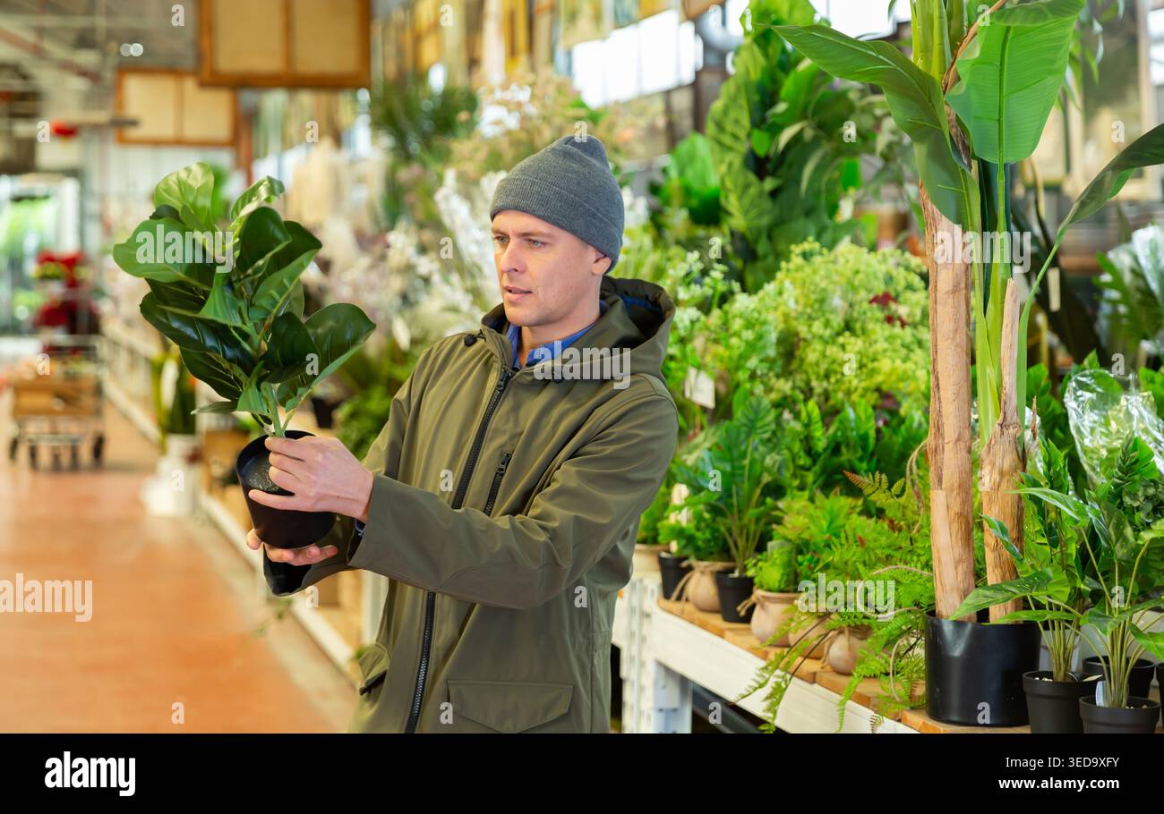Il cliente maschile sceglie fiori di plastica artificiale in pentole in negozio di fiori Foto Stock