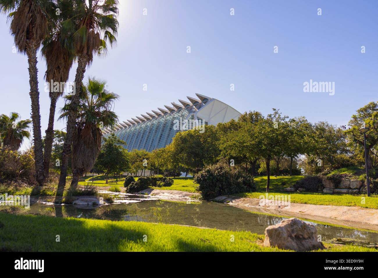 Parco Valencia Turia con alberi verdi e futuristico museo della scienza sullo sfondo sotto cieli limpidi. Foto Stock