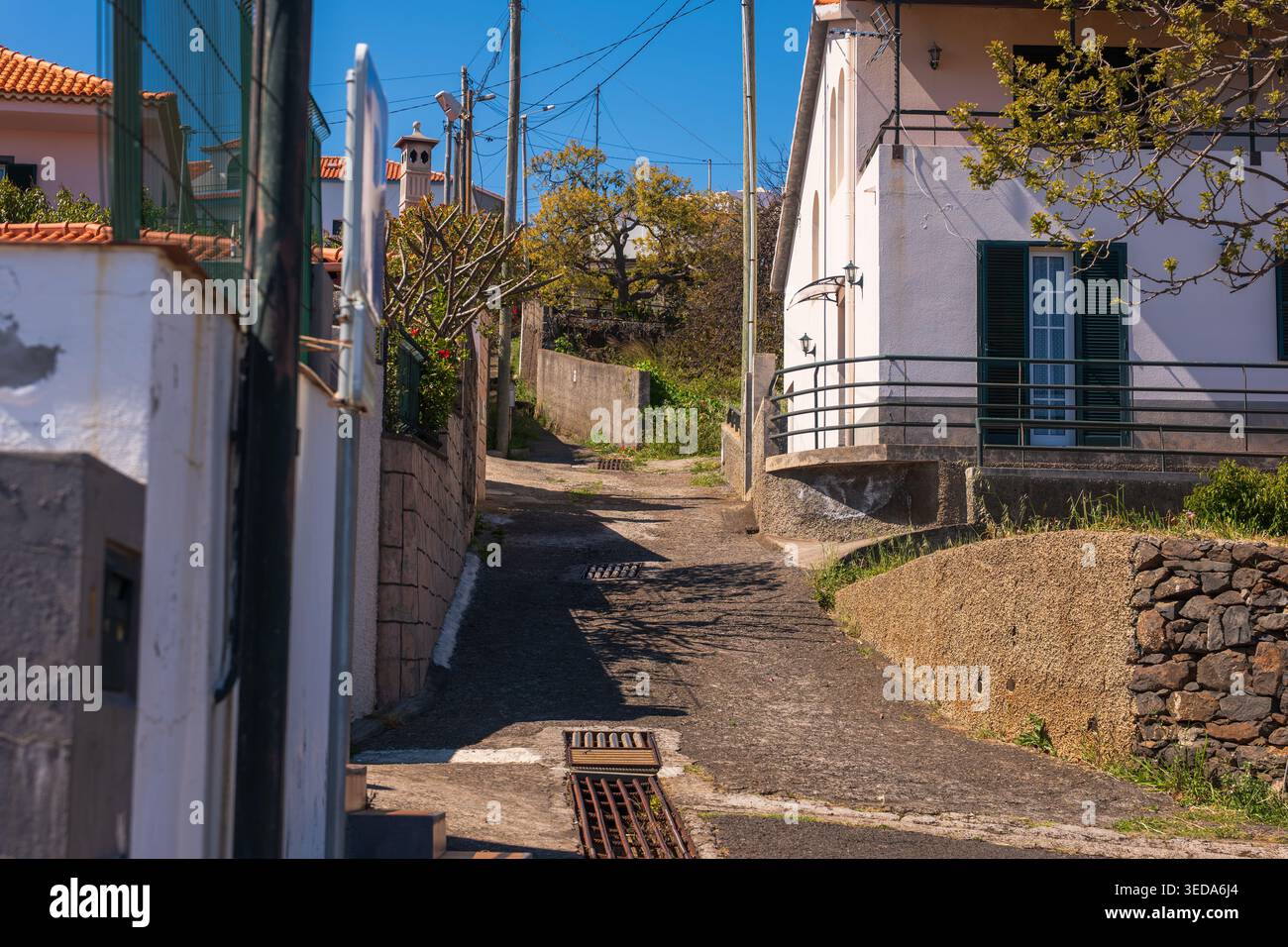 Pittoresca strada del villaggio di Madeira con case dipinte di bianco, tetti in terracotta, muri in pietra e vegetazione lussureggiante sotto il blu chiaro Foto Stock