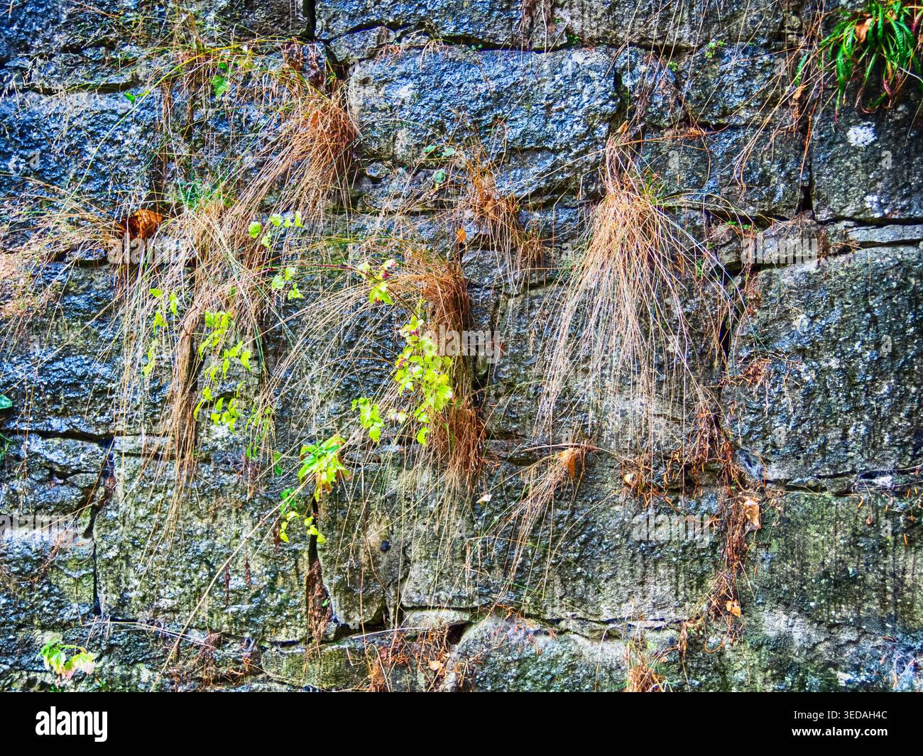 Vecchio muro fatto di massi, sfondo e consistenza Foto Stock
