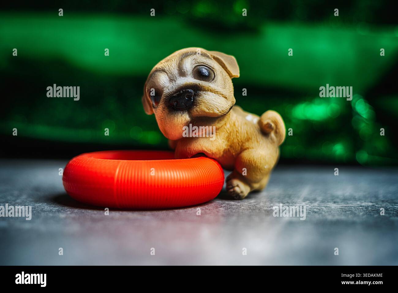 Statuetta di un cane e cerchio arancione per il biglietto d'auguri Foto Stock