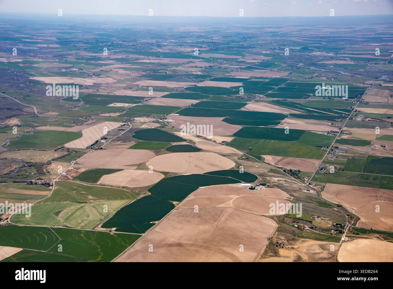 L'aereo di campi agricoli apparentemente infiniti si estende fino all'orizzonte, Bonneville Cunty, Idaho, Stati Uniti Foto Stock