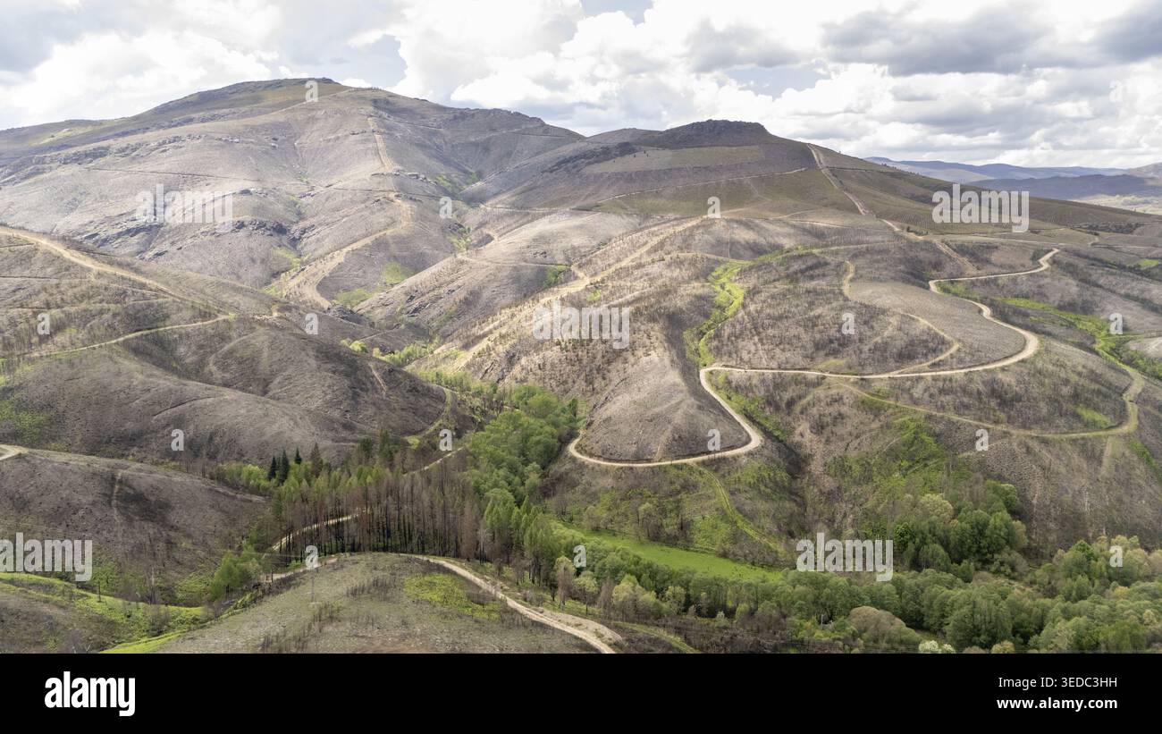 Vista aerea di tortuose strade sterrate che attraversano pendii di montagna bruciati e valli verdi sotto un cielo nuvoloso Provincia di Ourense, Spagna. Foto Stock