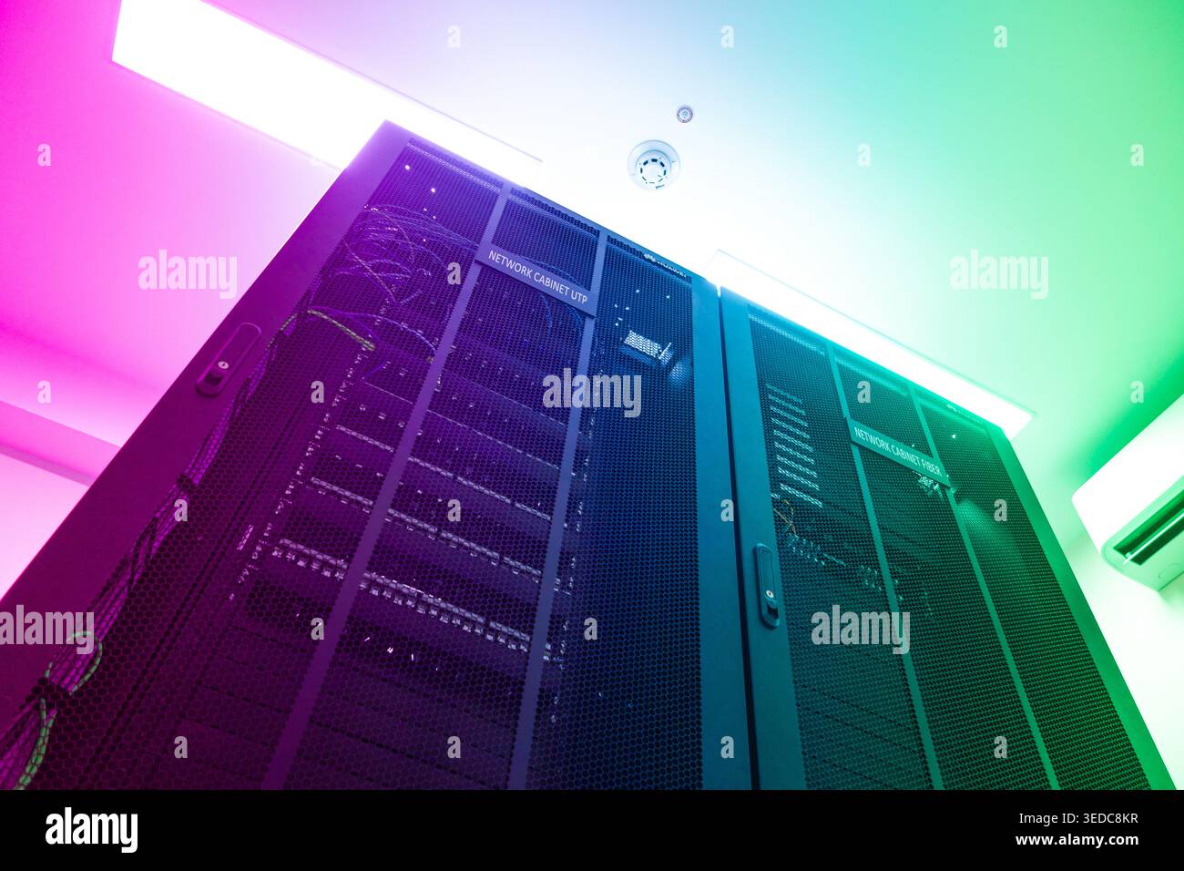 Una vivace sala server con tecnologia moderna e illuminazione colorata. Cavi e rack mettono in risalto la gestione dei dati e l'infrastruttura all'avanguardia. Foto Stock