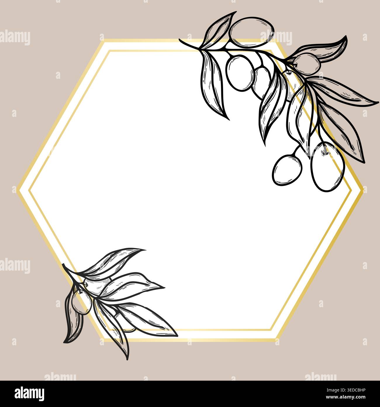 Cornice esagonale vettoriale con linea dorata e schizzo del ramo d'oliva. Elegante modello per post sui social media, design di etichette e inviti a matrimoni. Illustrazione Vettoriale