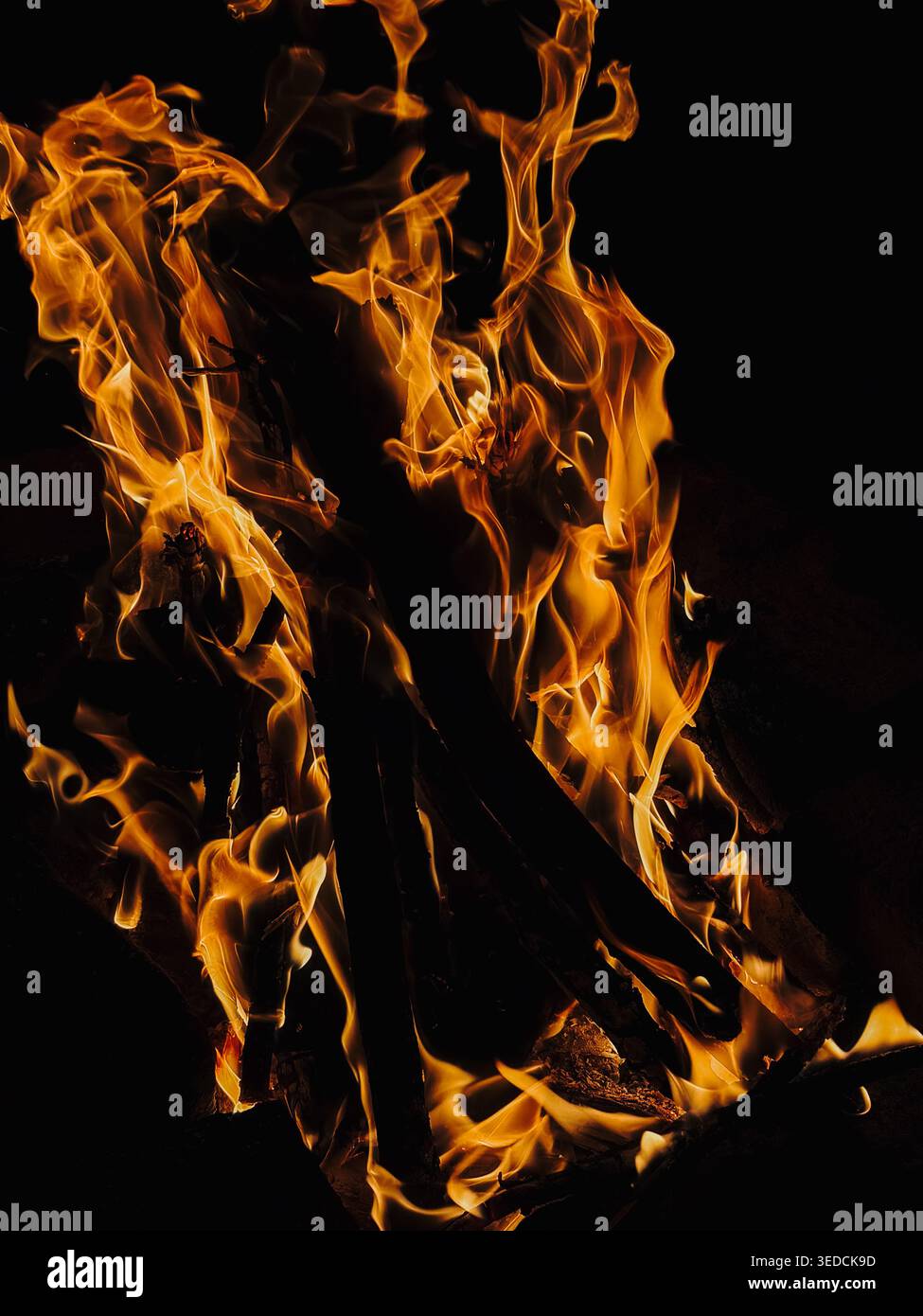 Le fiamme dorate sorgono nella notte buia con un drammatico movimento del fuoco. Concetto di incendio astratto per calore, energia, pericolo, background e intensa potenza naturale. Foto Stock
