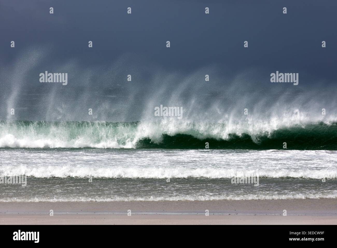 Enormi onde con schiuma sulla spiaggia Volunteer, Isole Falkland Foto Stock