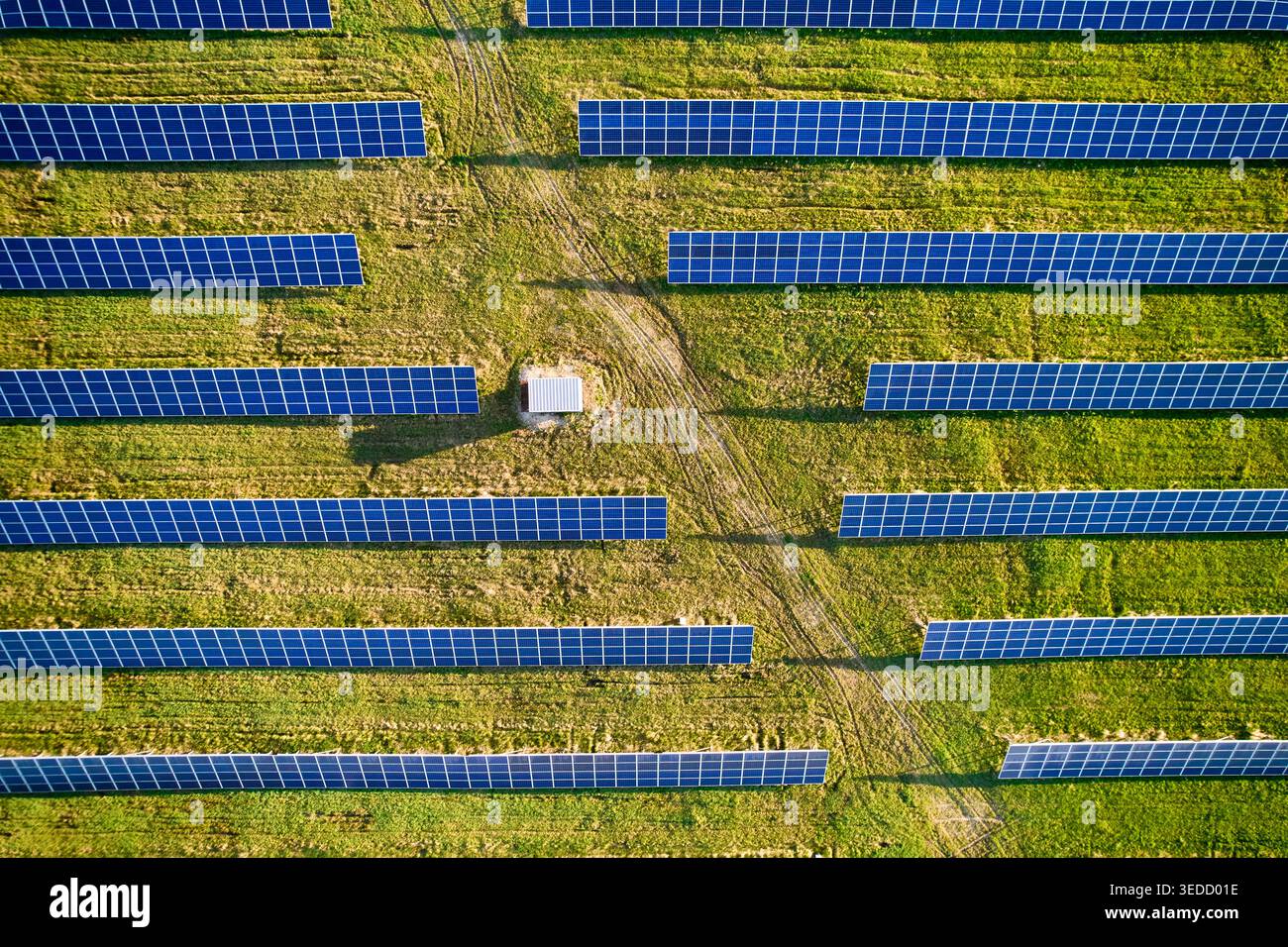 Vista dall'alto dei pannelli solari in file parallele con la strada di servizio, impianto fotovoltaico che produce energia rinnovabile pulita nel paesaggio agricolo Foto Stock