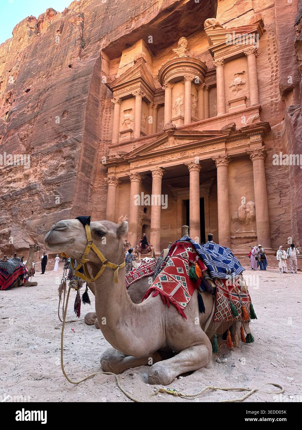 Il Tesoro (al-Khazneh), antica facciata scavata nella roccia a Petra, in Giordania, una delle nuove sette meraviglie del mondo. Foto Stock