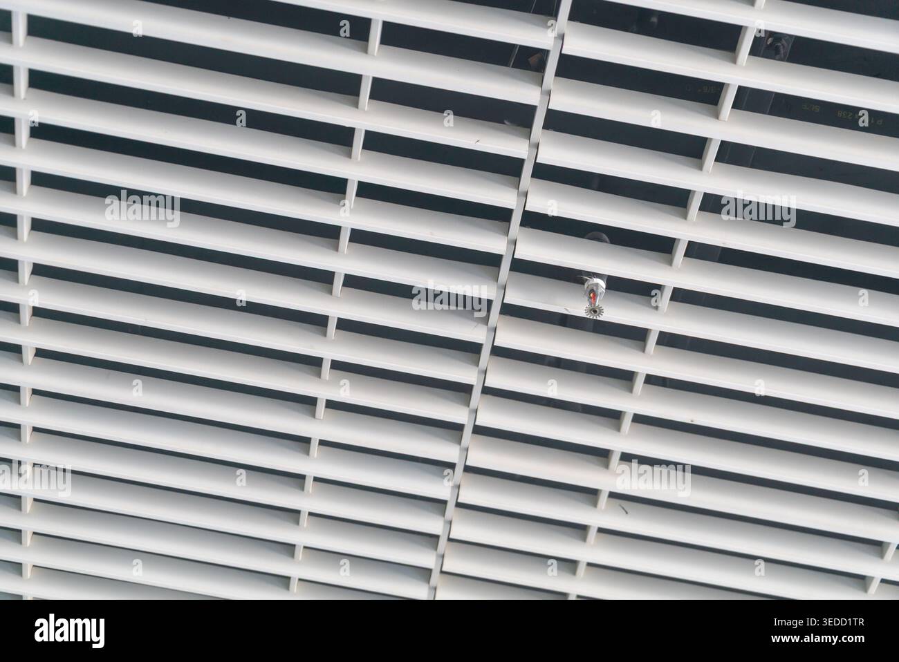 Vista ravvicinata di un soffitto moderno con griglie orizzontali. Il design presenta linee e motivi minimalisti, migliorando il fascino architettonico Foto Stock