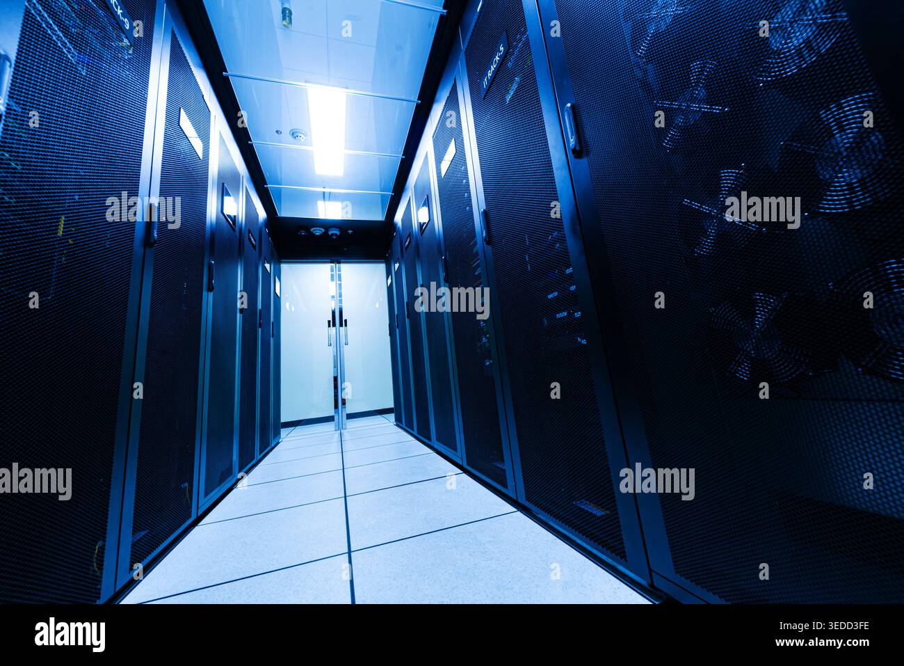 Vista interna di una sala server buia con illuminazione blu e file di rack server, che mostrano la tecnologia moderna e l'infrastruttura di storage dei dati. Foto Stock