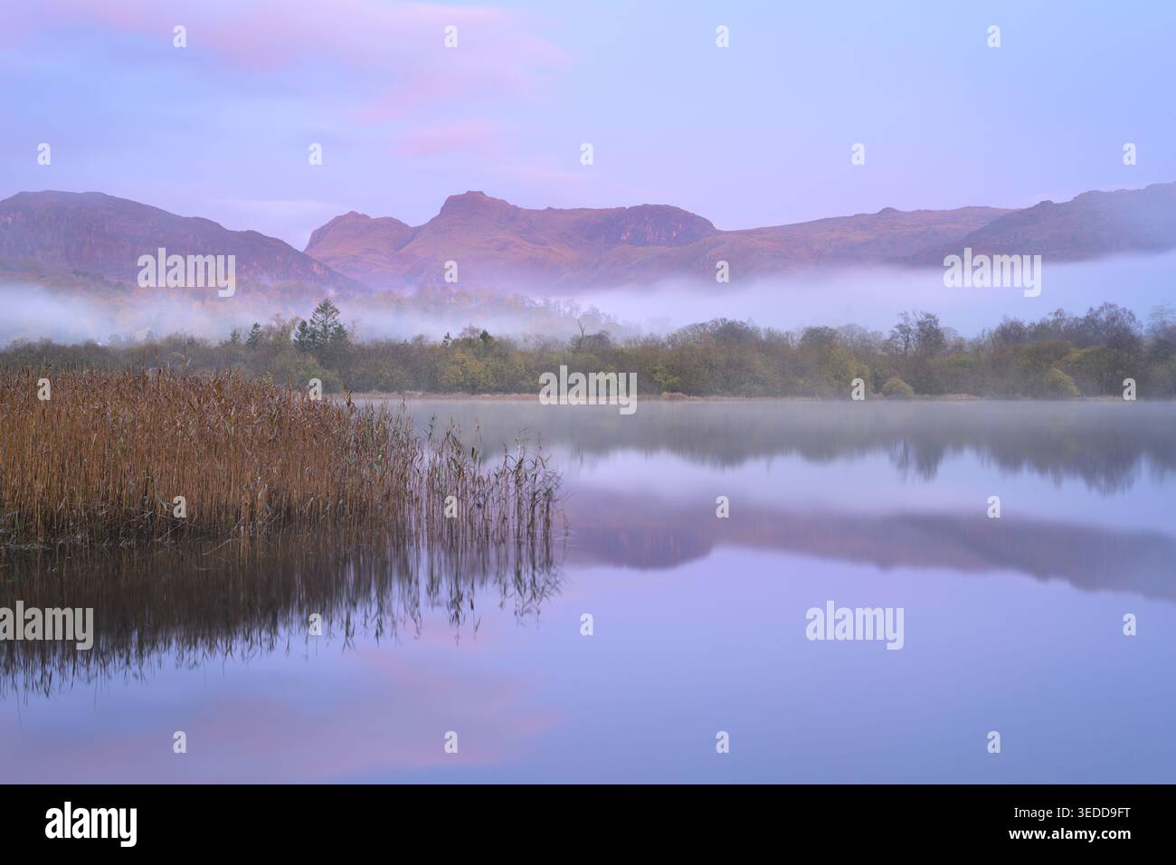 Lago Misty Elterwater in una mattina autunnale con placide riflessioni sulle montagne, Lake District, Regno Unito. Foto Stock