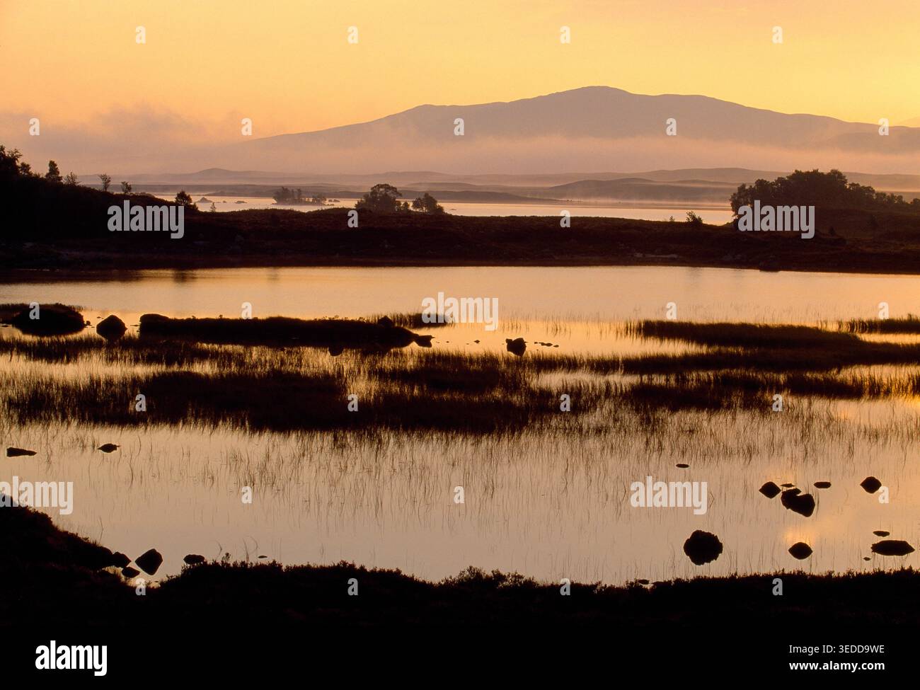Rannoch Moor all'alba in tarda estate con la nebbia che si innalza dalle superfici del lago dopo le basse temperature notturne, Inverness-shire, Scozia, settembre Foto Stock