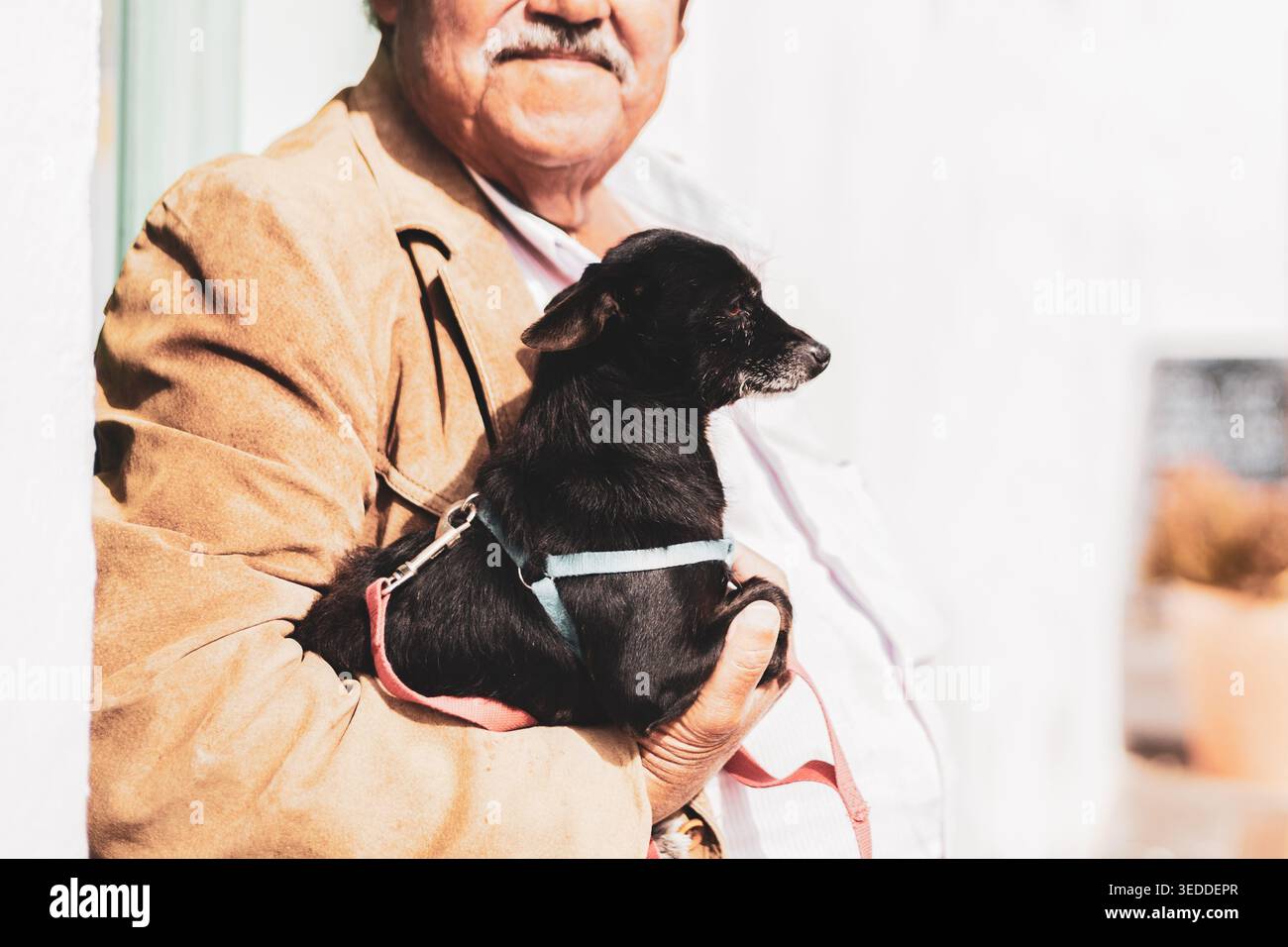 Anziano anziano con un baffo che tiene il suo piccolo cane nero all'aperto Foto Stock