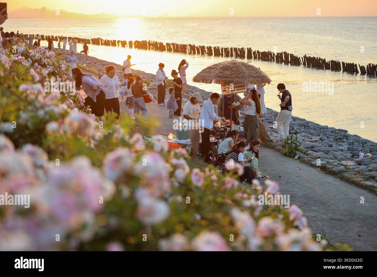 Pechino, la provincia cinese dello Zhejiang. 5 maggio 2026. I turisti si divertono in mezzo ai fiori in fiore durante le vacanze del giorno di maggio a Huzhou, nella provincia dello Zhejiang della Cina orientale, 5 maggio 2026. Crediti: He Weiwei/Xinhua/Alamy Live News Foto Stock